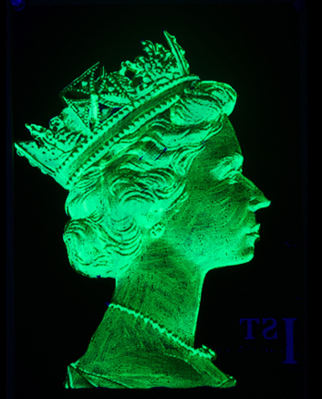 1st Class Monarch - Green