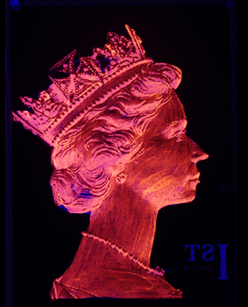 1st Class Monarch - Orange