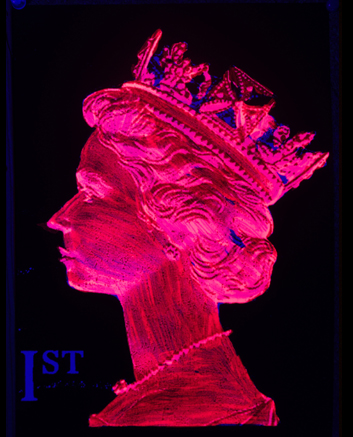 1st Class Monarch - Red