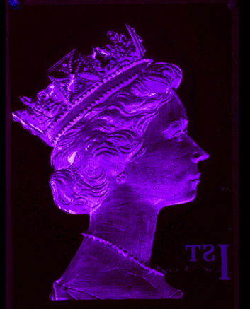 1st Class Monarch - Violet