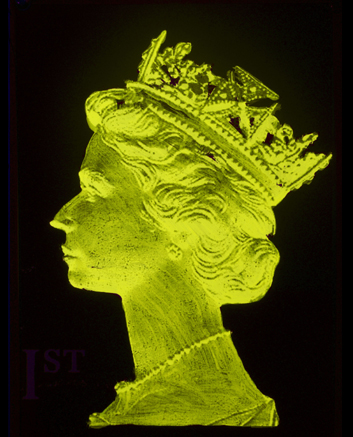 1st Class Monarch - Yellow